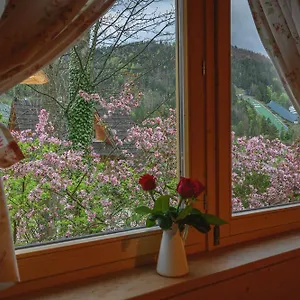 Regionalny Pod Skocznią Zakopane